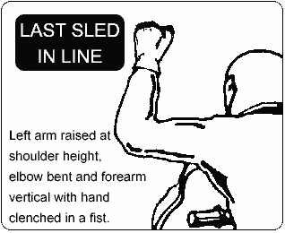 Last Sled
